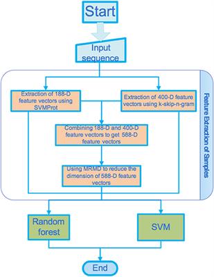 Predicting Ion Channels Genes and Their Types With Machine Learning Techniques